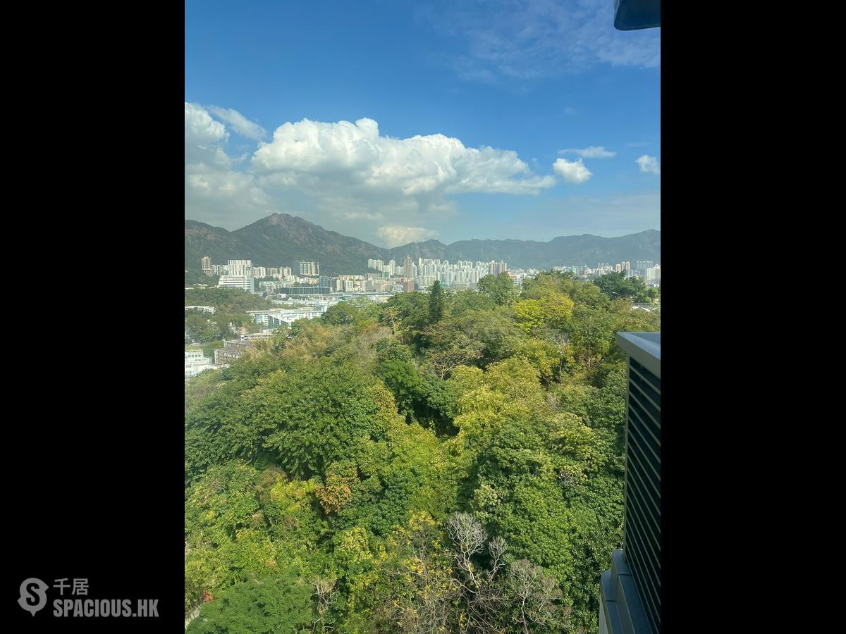 Sham Shui Po - The Paddington Block B 01