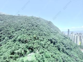 中半山 - 晓峰阁 04