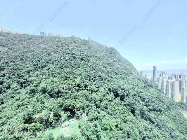 中半山 - 晓峰阁 04