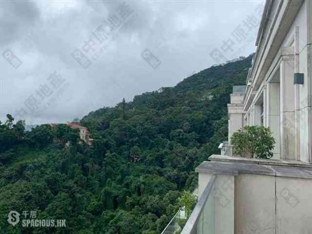 山顶 - 白加道28号 08