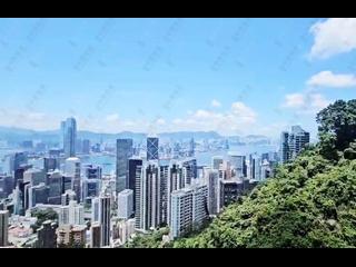 山顶 - 白加道28号 02