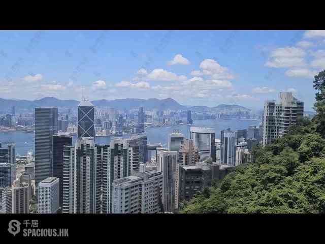 山顶 - 白加道28号 01