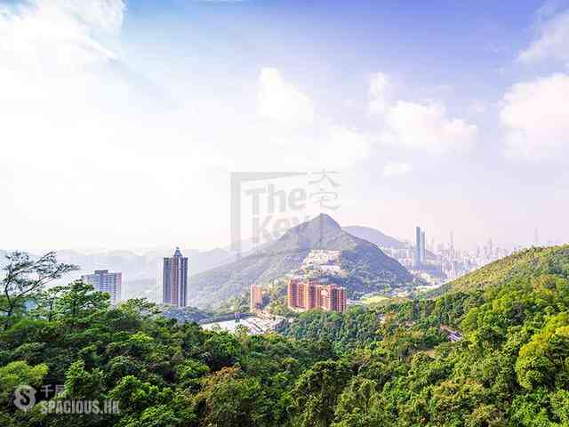 Tai Tam - Hong Kong Parkview 01