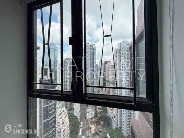Poho - Rich View Terrace 11