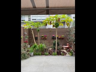 薄扶林 - Bisney View 13