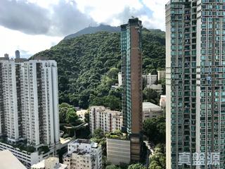 坚尼地城 - Lexington Hill 05