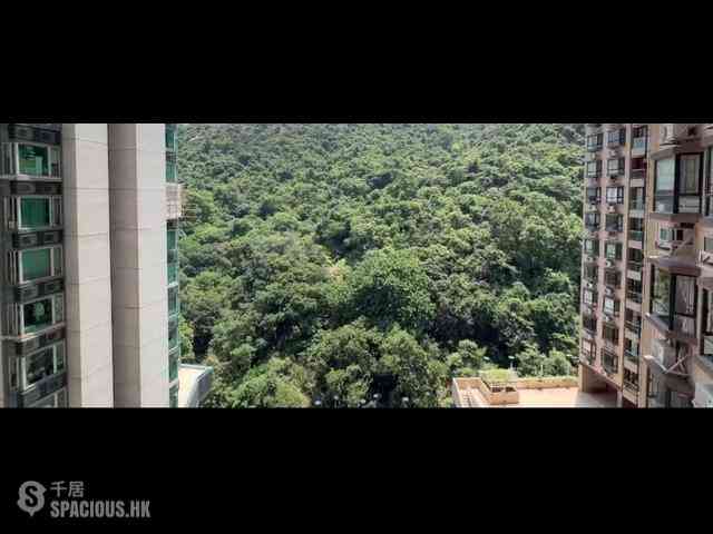 Tai Hang - Ronsdale Garden 01