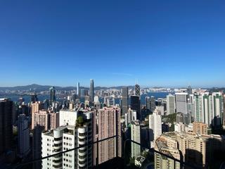 中半山 - 世纪大厦1座 06