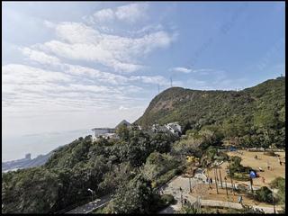 The Peak - The Mount Austin Block 5 06