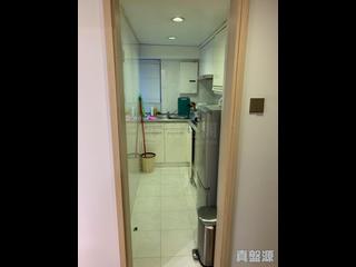 司徒拔道 - 摘星阁 11