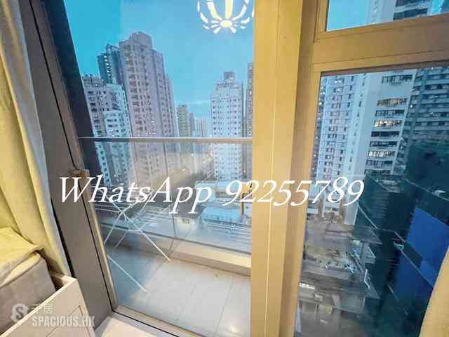 Sai Ying Pun - The Summa 04