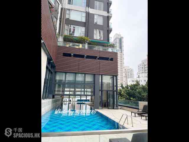Sai Ying Pun - The Summa 11
