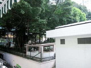 Poho - 12, Tai Ping Shan Street 07