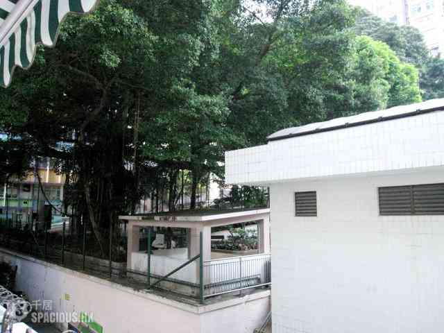 Poho - 12, Tai Ping Shan Street 07