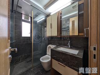 Causeway Bay - Park Haven 04