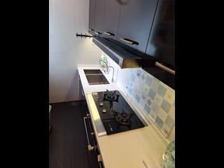 Discovery Bay - Discovery Bay Phase 10 Neo Horizon 10