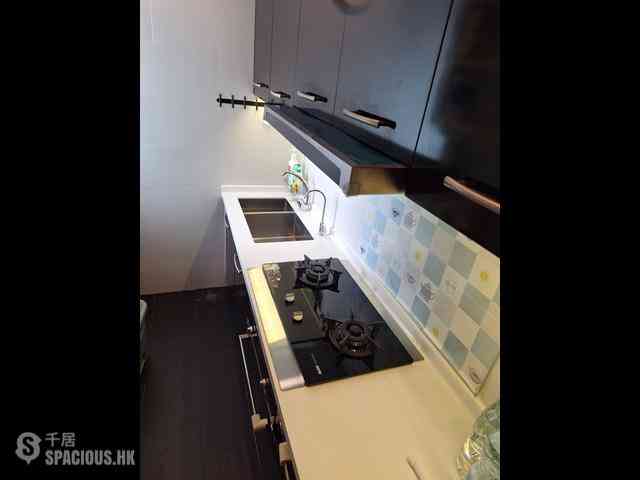 Discovery Bay - Discovery Bay Phase 10 Neo Horizon 10