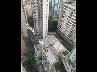 中半山 - 罗便臣道31号 06