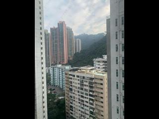 中半山 - 罗便臣道31号 07