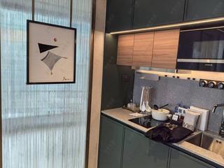 Sai Ying Pun - Des Voeux W Residence 10