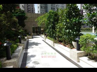 堅尼地城 - 寶雅山 33