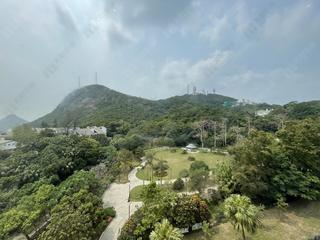 The Peak - The Mount Austin 04