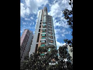 Wan Chai - Royal Court 03