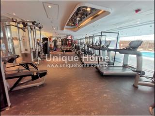 Repulse Bay - The Lily 15