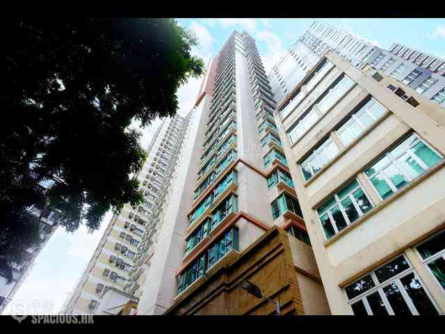 Mid Levels Central - Peach Blossom 02