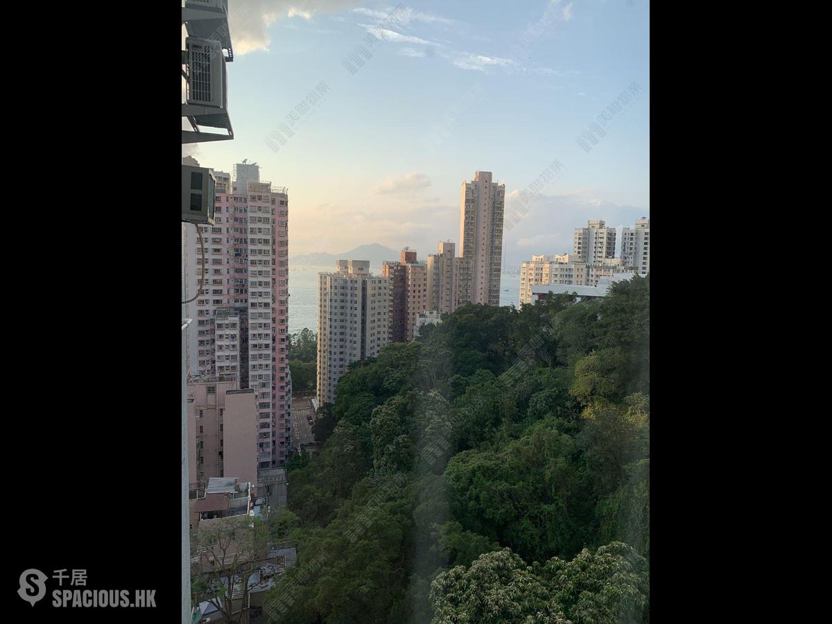 坚尼地城 - 桃李园 01