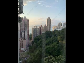 坚尼地城 - 桃李园 08