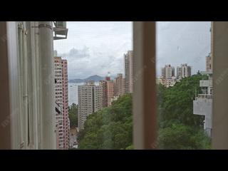坚尼地城 - 桃李园 14