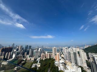 大坑 - 柏园 08