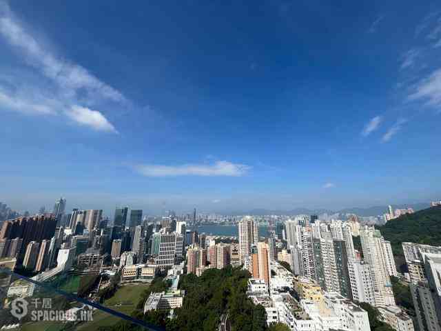 大坑 - 柏园 08