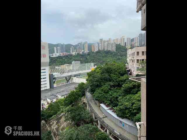 跑马地 - 汇翠台2座 03