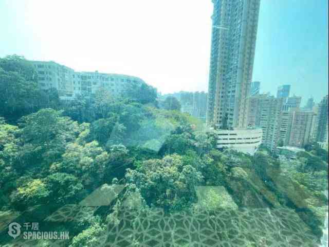 Tai Hang - Y.I 03