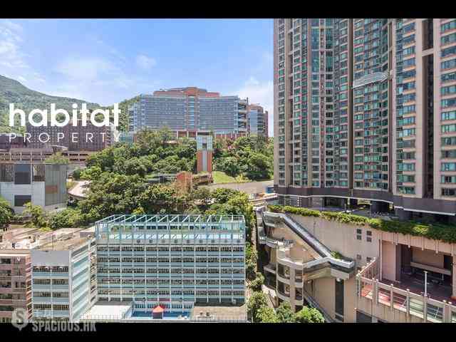 Shek Tong Tsui - Eight South Lane 09