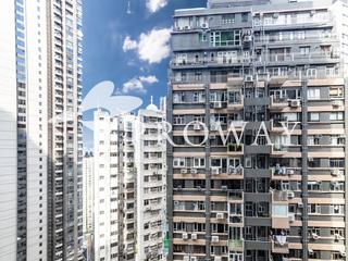 中半山 - 高云台 02