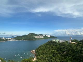 Chung Hom Kok - Scape 04