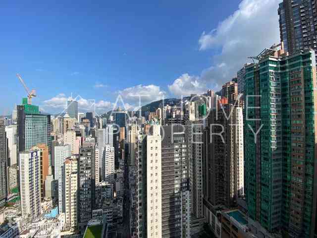 苏豪 - 聚贤居 14