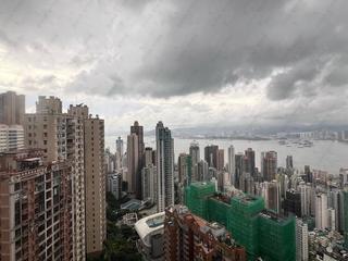 中半山 - 殷桦花园1期 10