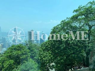 The Peak - Haking Mansions 03