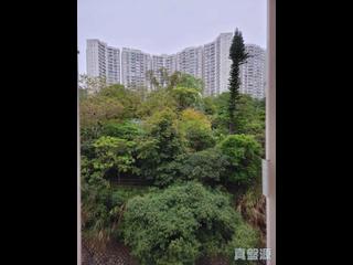 寶馬山 - 寶馬山花園 05