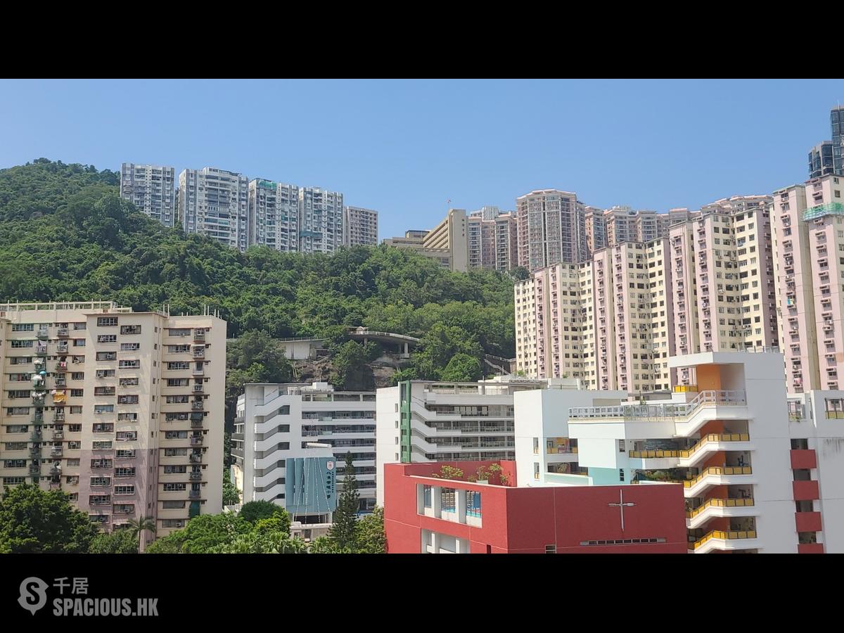 鲗鱼涌 - 慧云峰 01