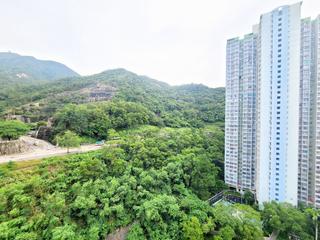西灣河 - 東霖苑 12
