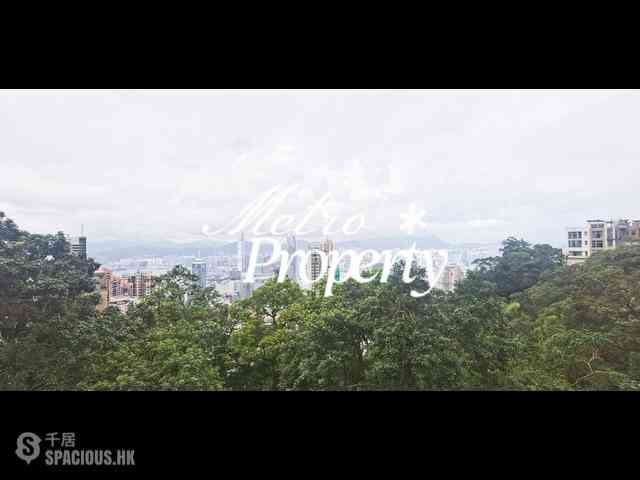 The Peak - Barker Villa 11