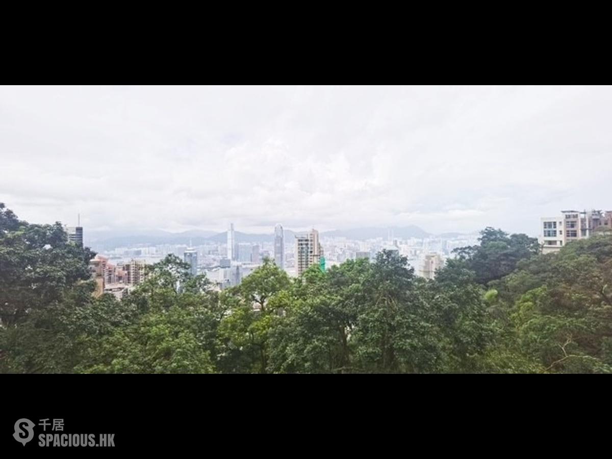 山顶 - 柏架别墅 01