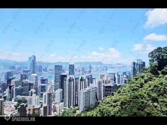 山顶 - 白加道28号 02