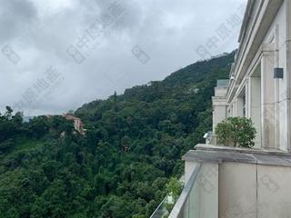 山顶 - 白加道28号 08