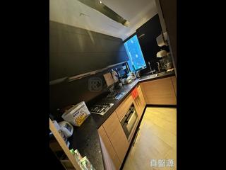 天后 - 柏傲山 04